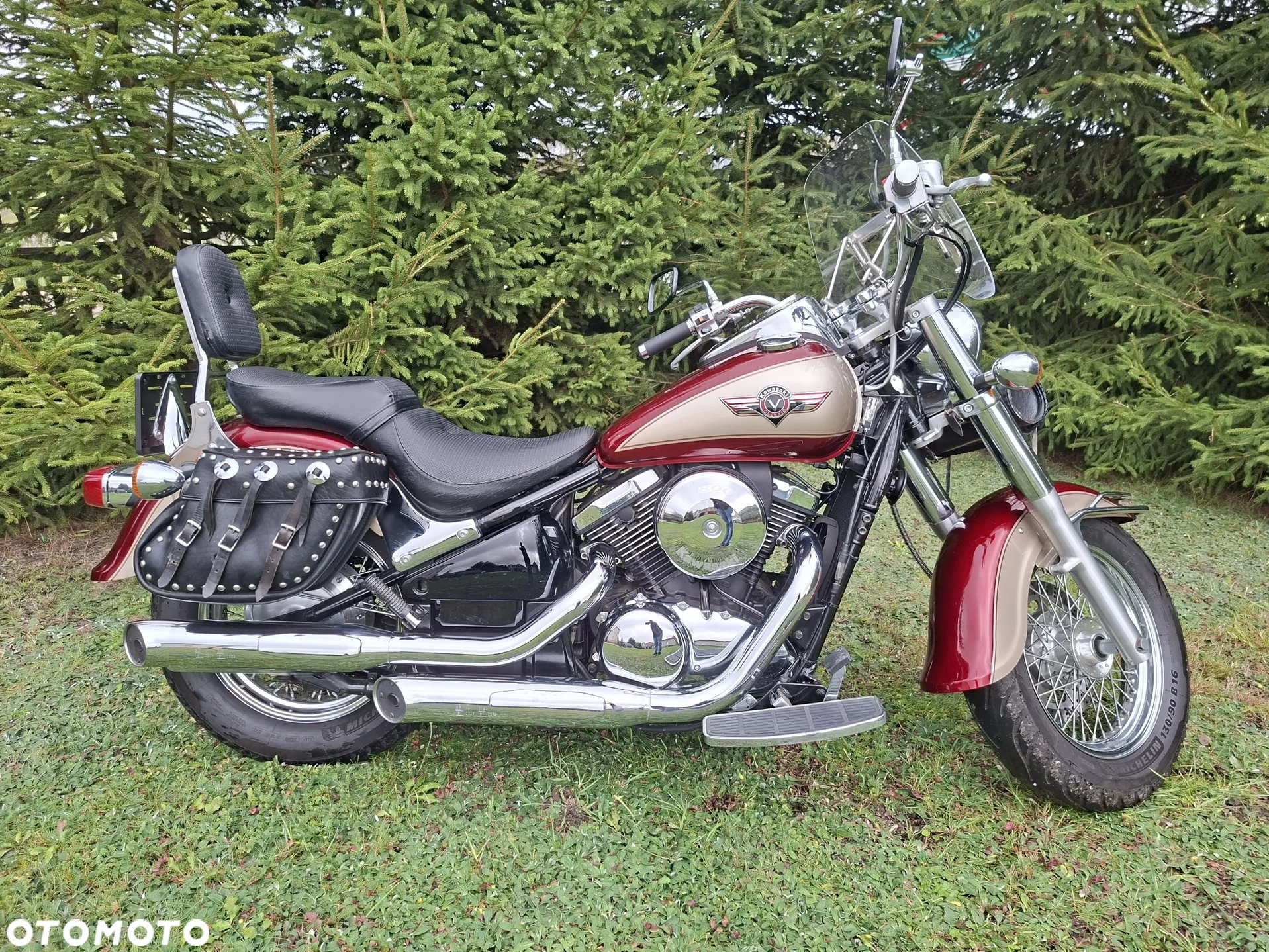 Kawasaki VN 800 Classic